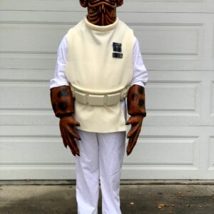 Admiral Ackbar